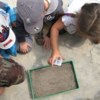 Environment Education in schools in Italy
