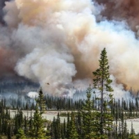 Environmental Photographer of the Year 2016: Winners and shortlisted images