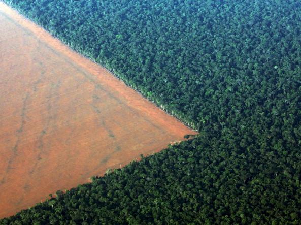Brazil abolishes huge Amazon reserve in 'biggest attack' in 50 years