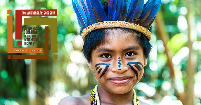‘Indigenous peoples are the best guardians of world's biodiversity’
