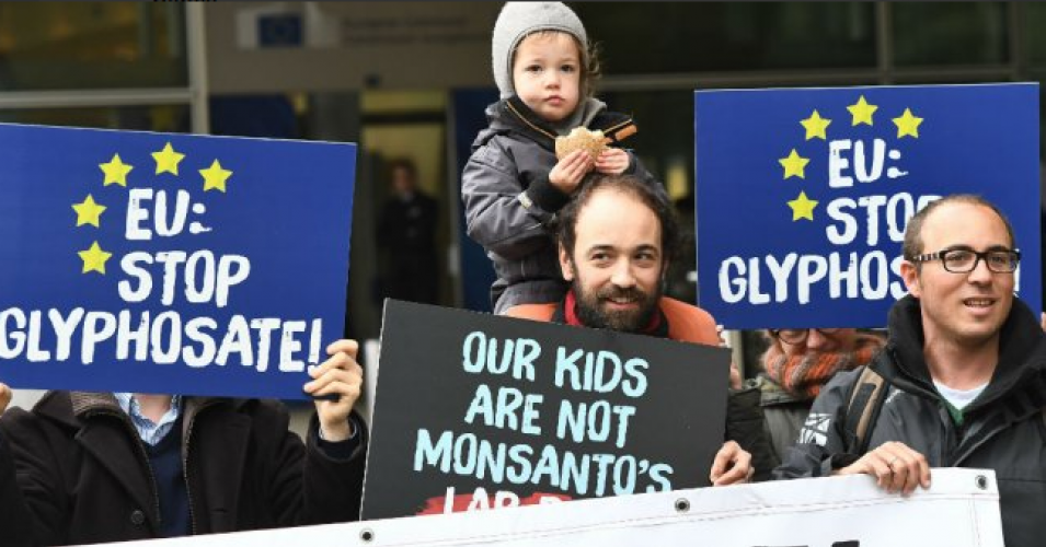 Controversial glyphosate weedkiller wins new five-year lease in Europe