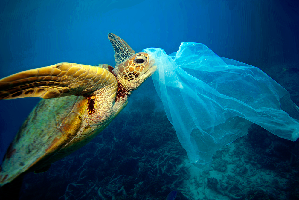 EU declares war on plastic waste